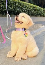 -Oasis Beauty水磨坊科技美肤中心