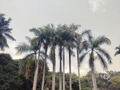 -荔枝公园(福田区)