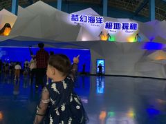-泉城欧乐堡海洋极地世界