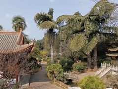 -昆明市金殿名胜区