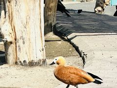 -水上乐园·欢乐世界