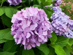 -新天地活力PARK