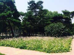 iphone_upload_pic-东北大学(南湖校区)