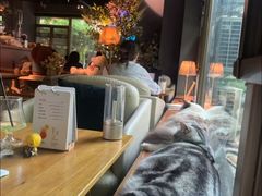 -咖法森林·咖啡  酒吧(天河店)