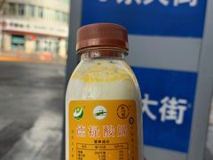 -德禄酸奶(莫家街店)