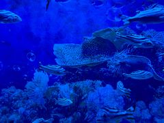 -海合安成都极地海洋公园