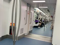 -大龙山(地铁站)