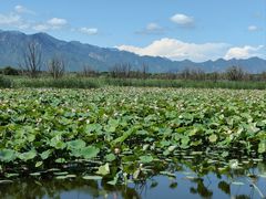 -野鸭湖国家湿地公园