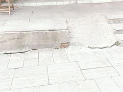 -中商平价超市(吴家山店)