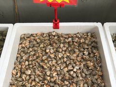 水产区-蚝专家(北滘店)