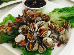 白灼血蛤-沈家门小海鲜
