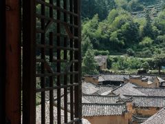 -杨家堂村