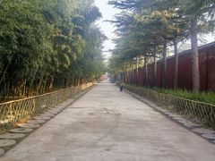 -洛阳白马寺