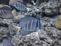 -常州海昌海洋探索馆