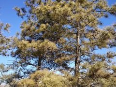 -滨河世纪广场公园