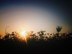 -皇粮浜公园