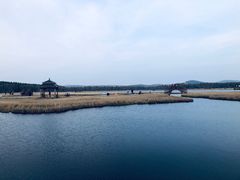 -塞罕坝国家级自然保护区