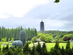 -宜兴龙背山森林公园