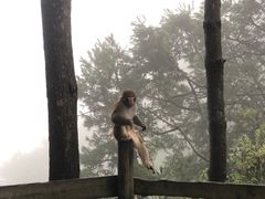 -重庆雨台山风景区
