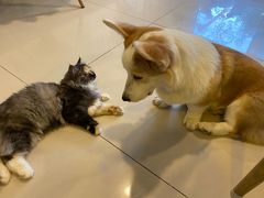 -平行世界·猫咖(首经贸店)