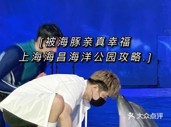 【上海｜来海昌海洋公园，和海豚亲吻吧】