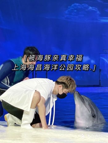 【上海｜来海昌海洋公园，和海豚亲吻吧】
