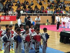 -陈中跆拳道(中关村馆)