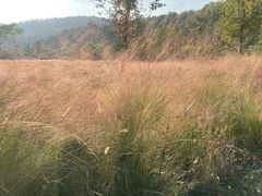 -南京市无想山景区