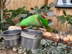 -南宫五洲植物乐园