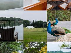 -福建鲤鱼洲酒店