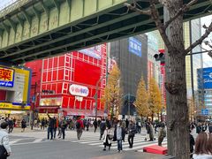-秋叶原电器街