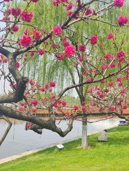 -玄武湖景区-情侣园游乐场
