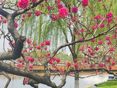 -玄武湖景区-情侣园游乐场