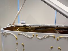 -柏斯琴行(汾阳店)