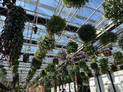 -常州花鸟园酒店(西太湖品牌优选店)