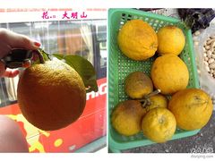 -大明山自然探索公园