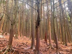 -含鄱口