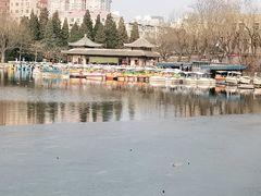 -团结湖公园