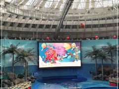 -海合安成都极地海洋公园