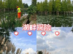 -白鹭湾湿地公园