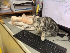 -宠颐生宠物医院·心肾内科·猫专科诊疗中心宠巢店