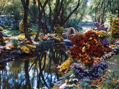 -上海共青森林公园