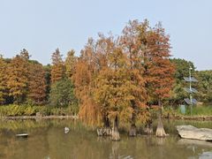 -海珠湖公园