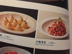 -大鸭梨烤鸭(望京店)