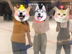 -TheRink大零溜冰场(IFS国金中心店)