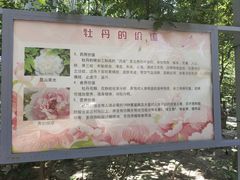 -仁和公园(顺义区)
