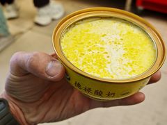 -德禄酸奶(莫家街店)