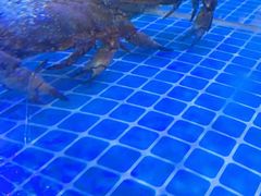 -必点蒸汽海鲜(止锚湾店)