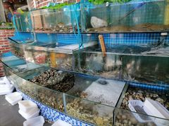 水产区-蟹谢蒸鲜自助餐厅