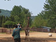 -大连森林动物园